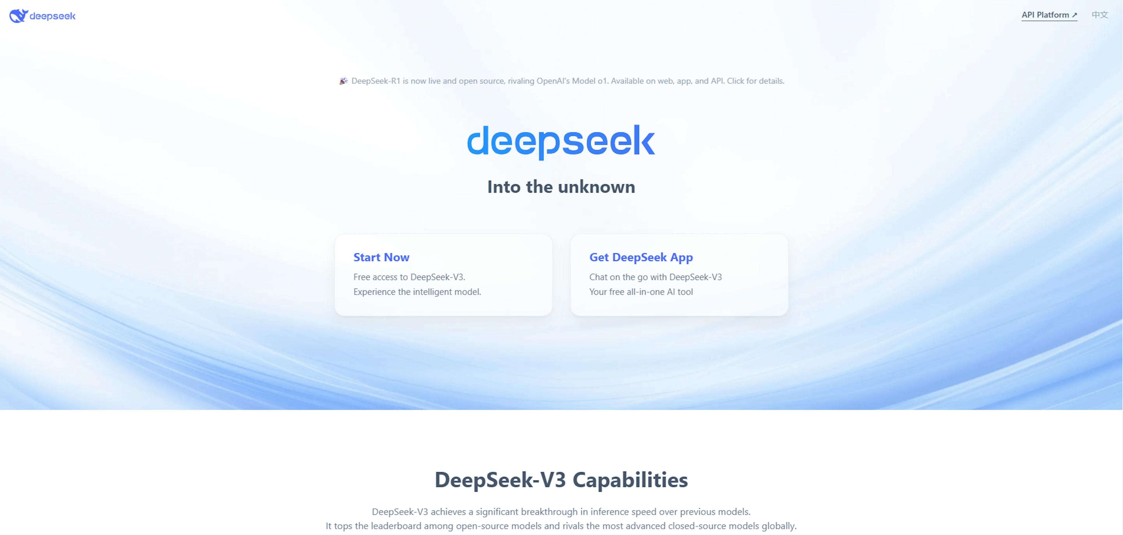 Deepseek Ai homepage