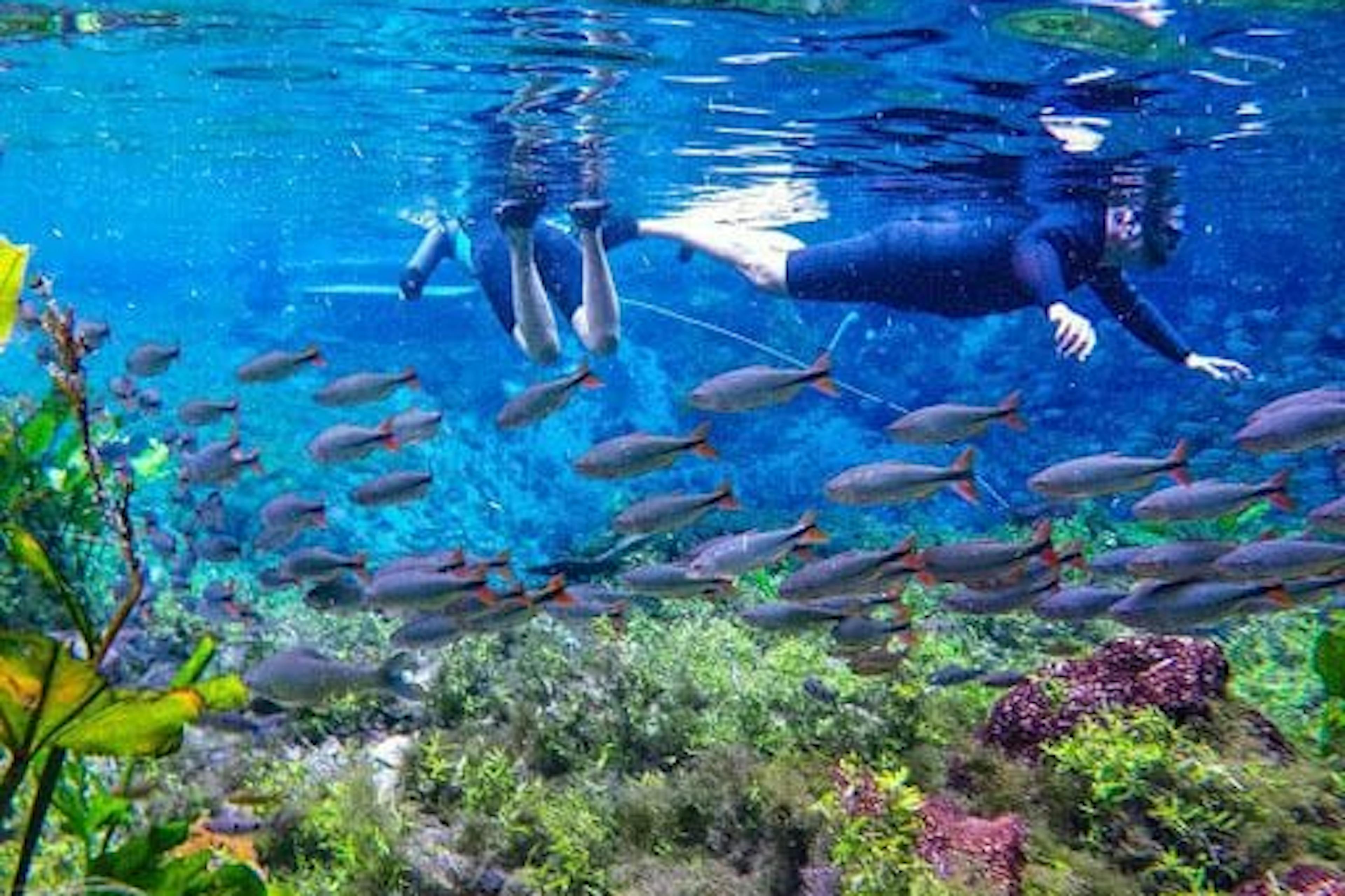 Flutuação Nascente Azul