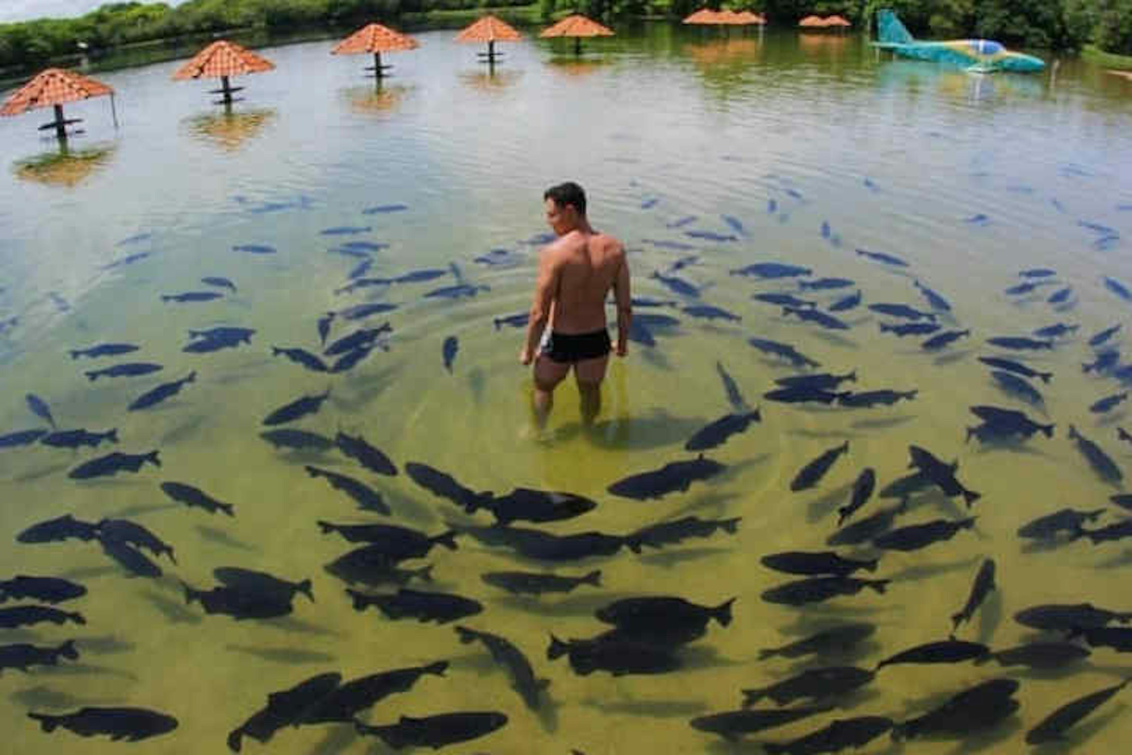 Rio Formoso repleto de peixes - Praia da Figueira