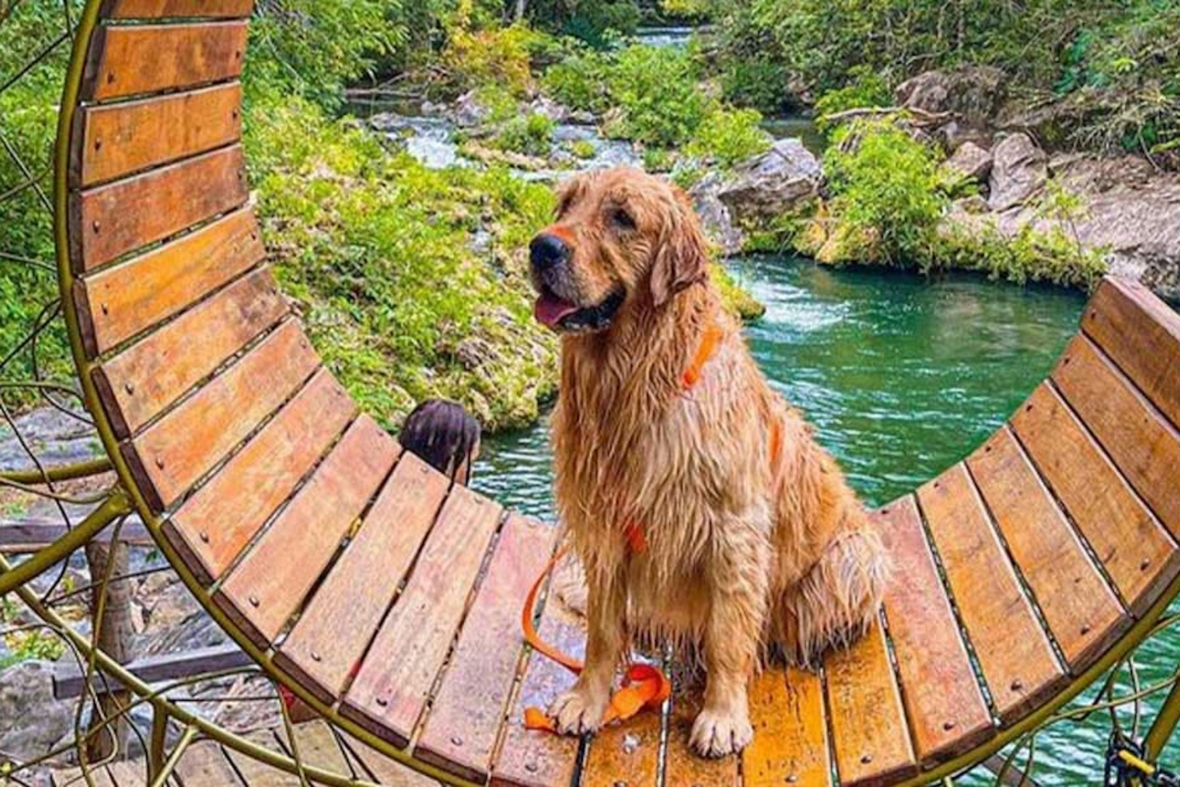 Trilha e Cachoeiras Recanto das Águas - Acqua Viagens