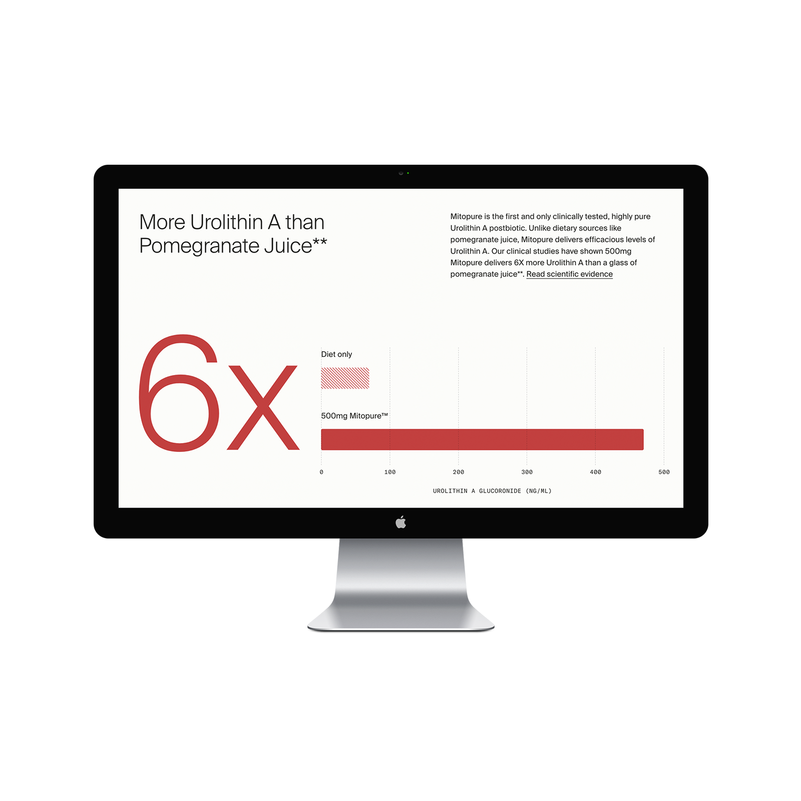 Timeline Nutrition-thumbnail-2