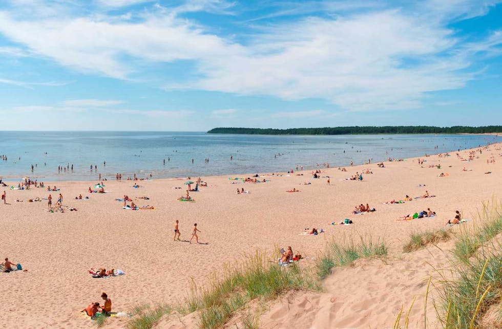 Suomen parhaat leirintäalueet lapsiperheille – 4 poimintaa meren ääreltä