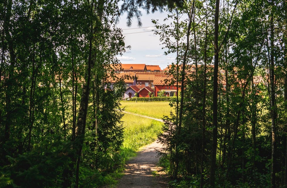 Vantaan parhaat ulkoilureitit - 7 valikoitua vinkkiä