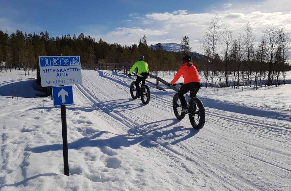 Erikoisten elämysten Suomi – viisi talvista kokemusta paikallisten opastuksella