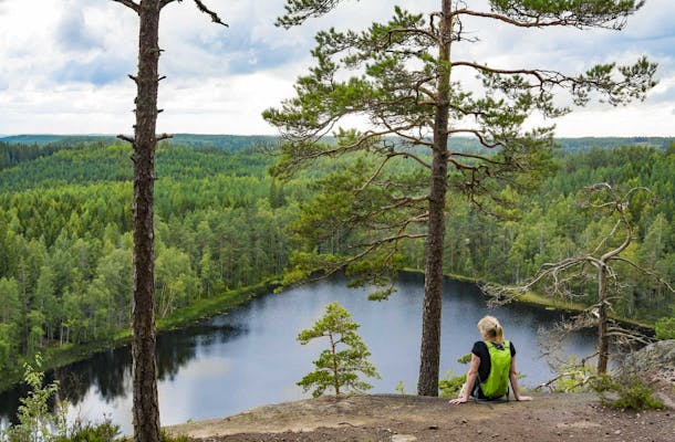 Täällä Suomen luonto on komeimmillaan: esittelyssä Lapin upeat kansallispuistot