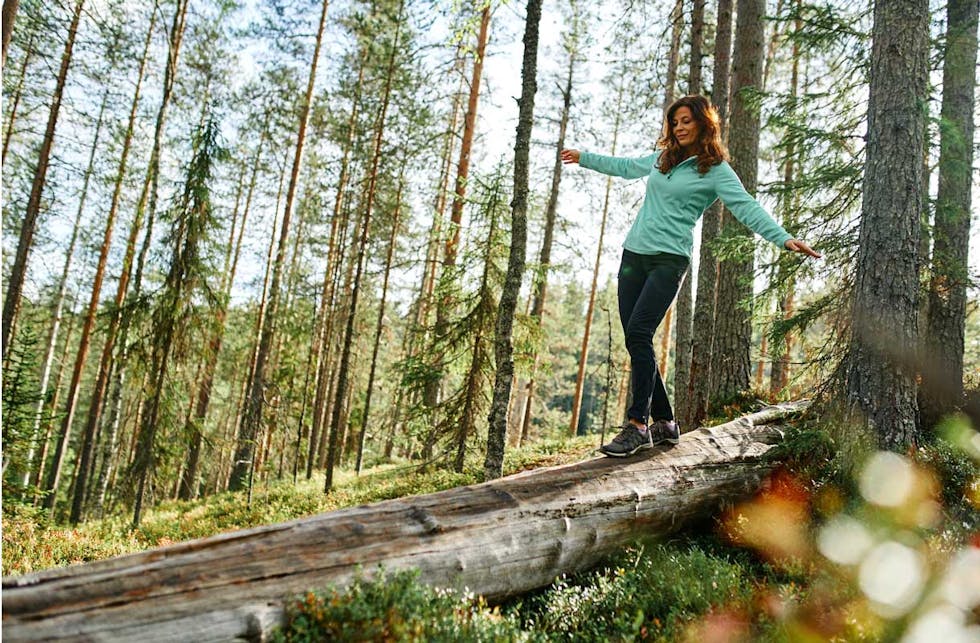 Sielu vie sinne, missä luonto on lähellä – Wild Taiga tarjoaa seikkailuja Kainuussa ja lähialueilla