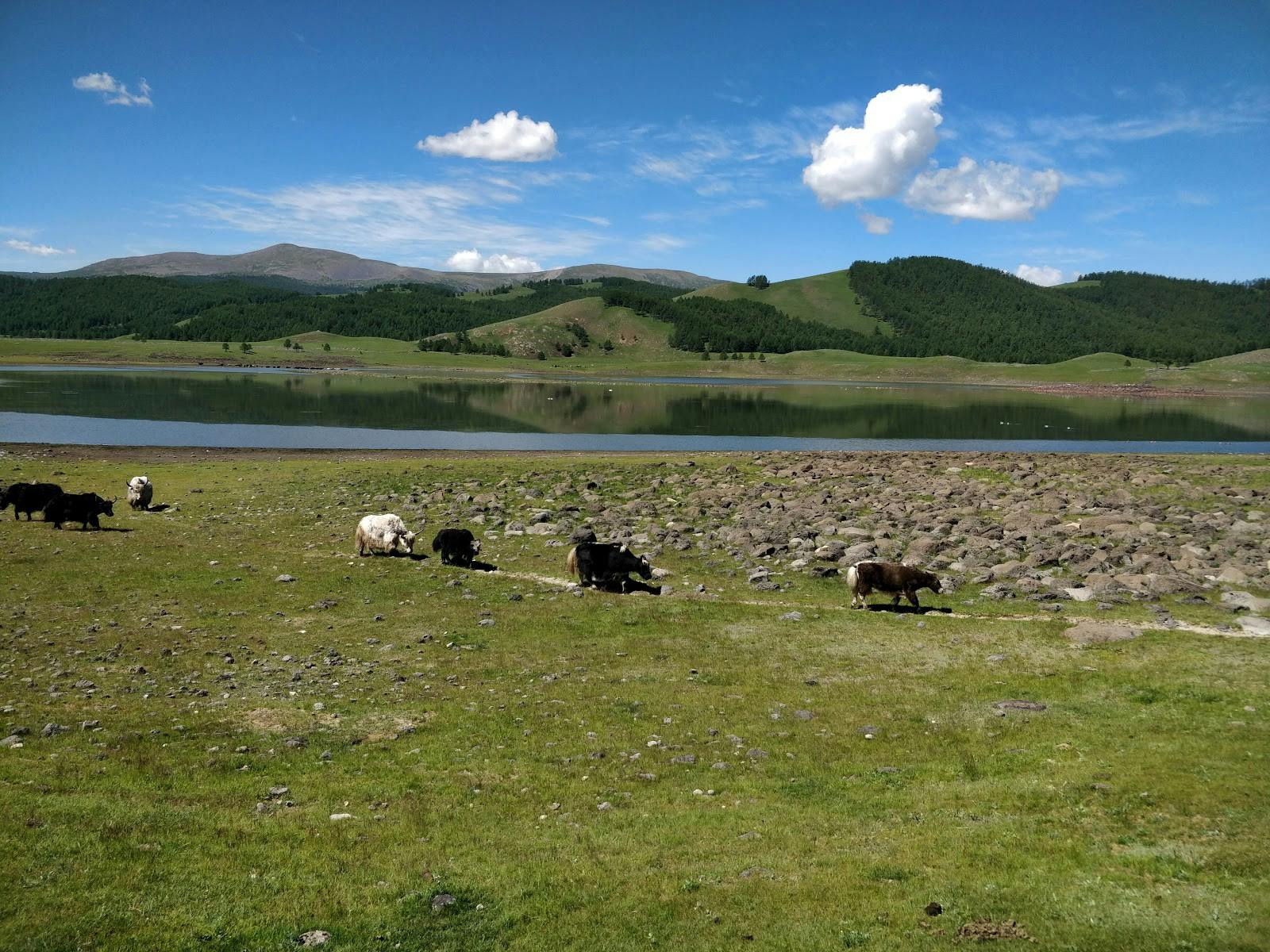 Mongolie paysage