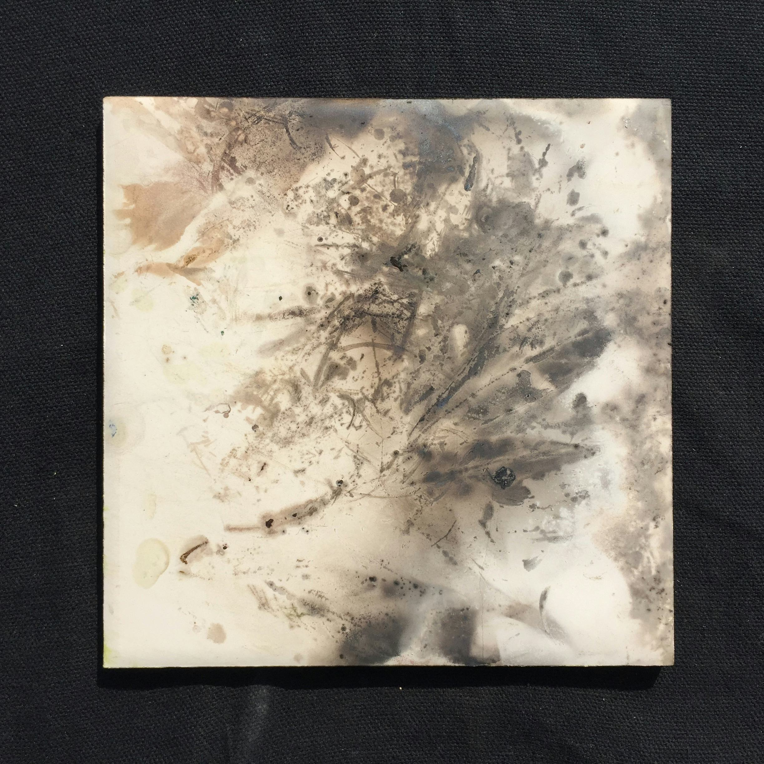 A ceramic tile showing markings where plant and flower cuttings were placed on top