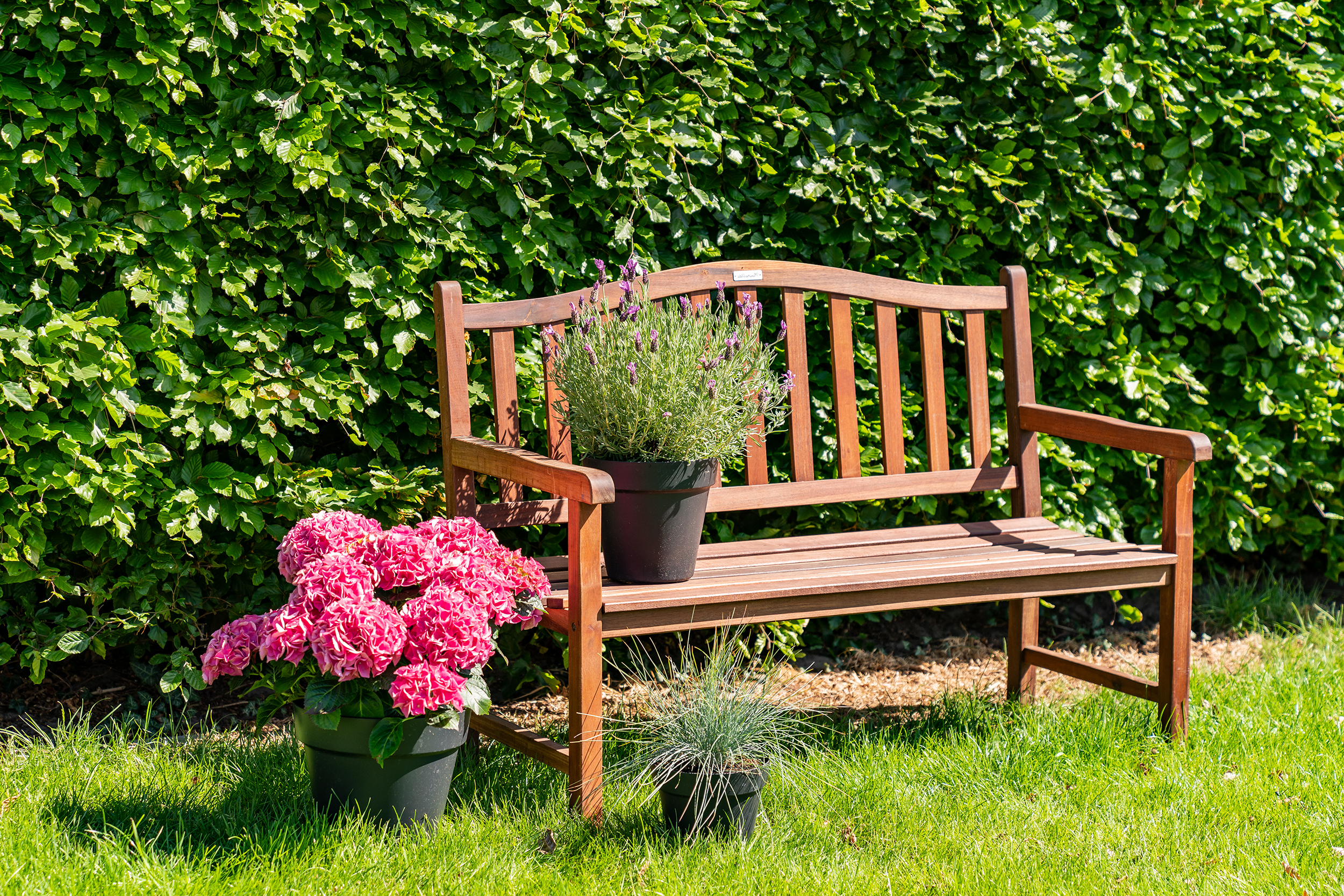 Gartenbank aus Mahagoniholz Rainbow im Sonderangebot