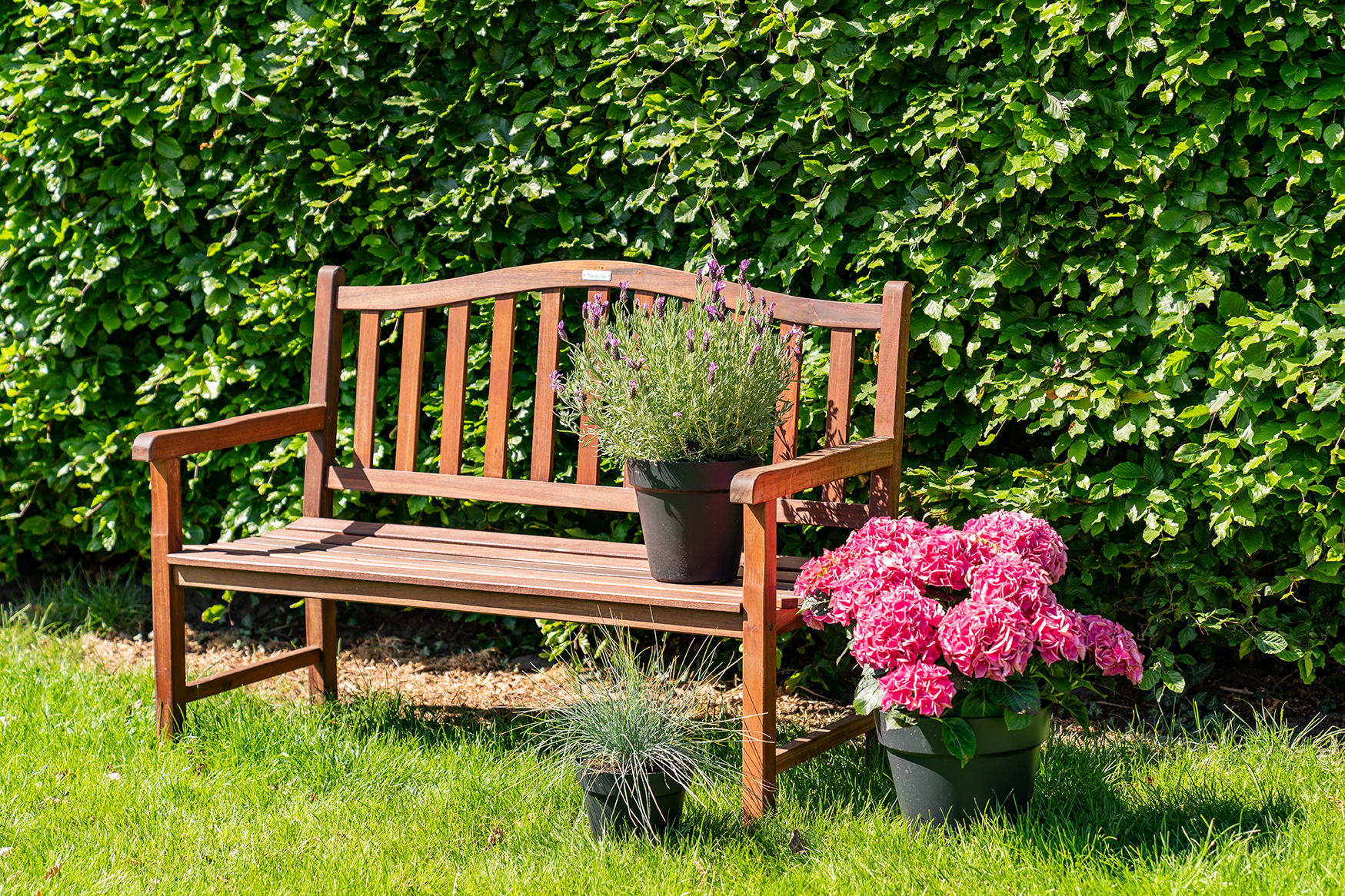 Mahoniehouten tuinbank Rainbow sale