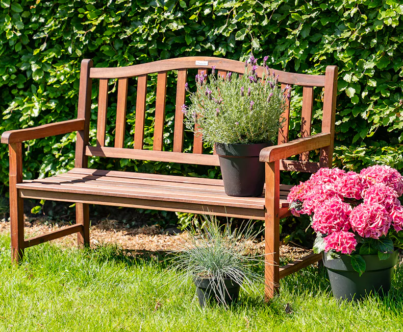 Mahoniehouten tuinbank Rainbow sale