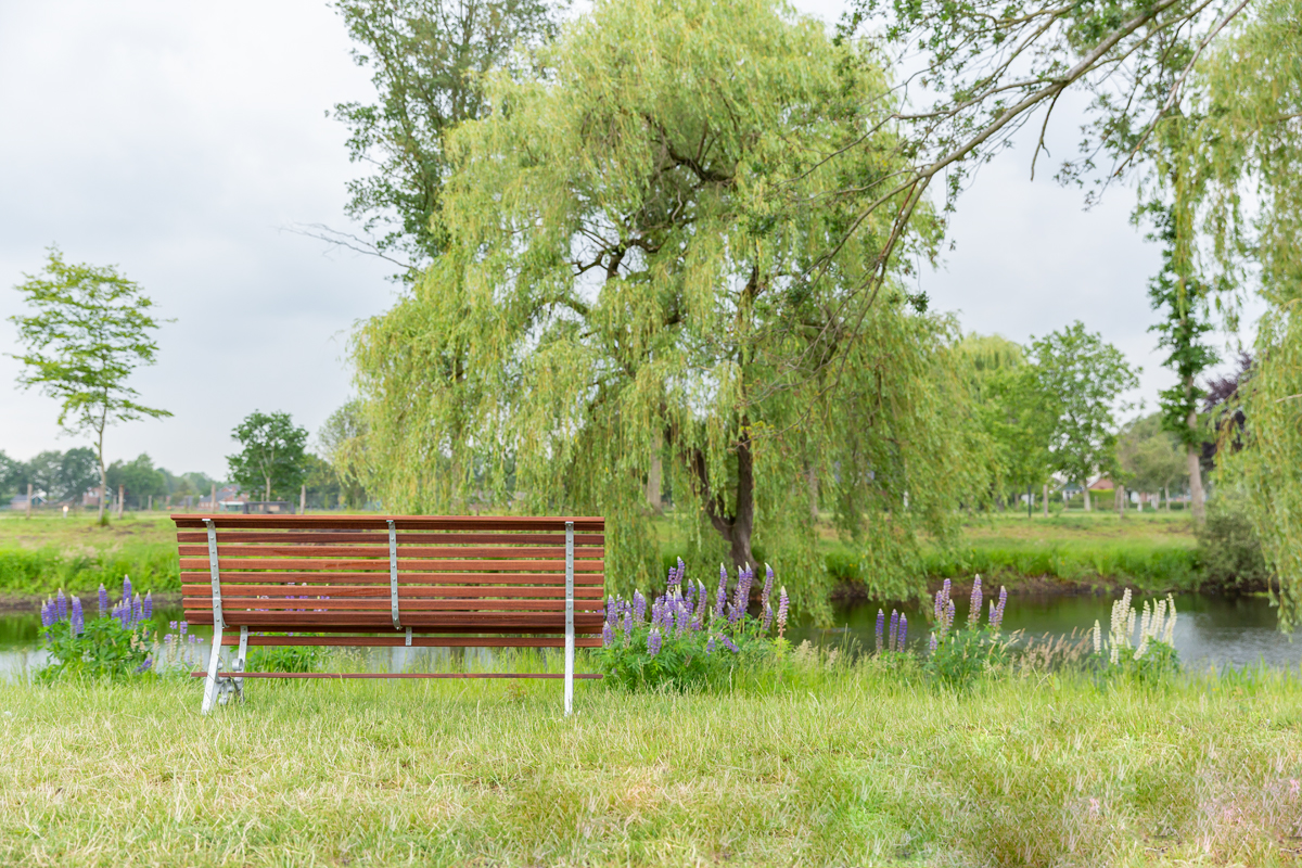 tuinbank Budapest met mahoniehouten latten
