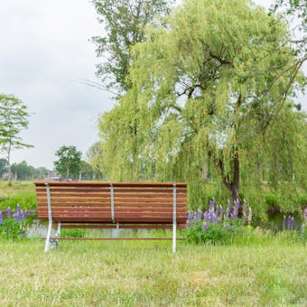 tuinbank Budapest met mahoniehouten latten