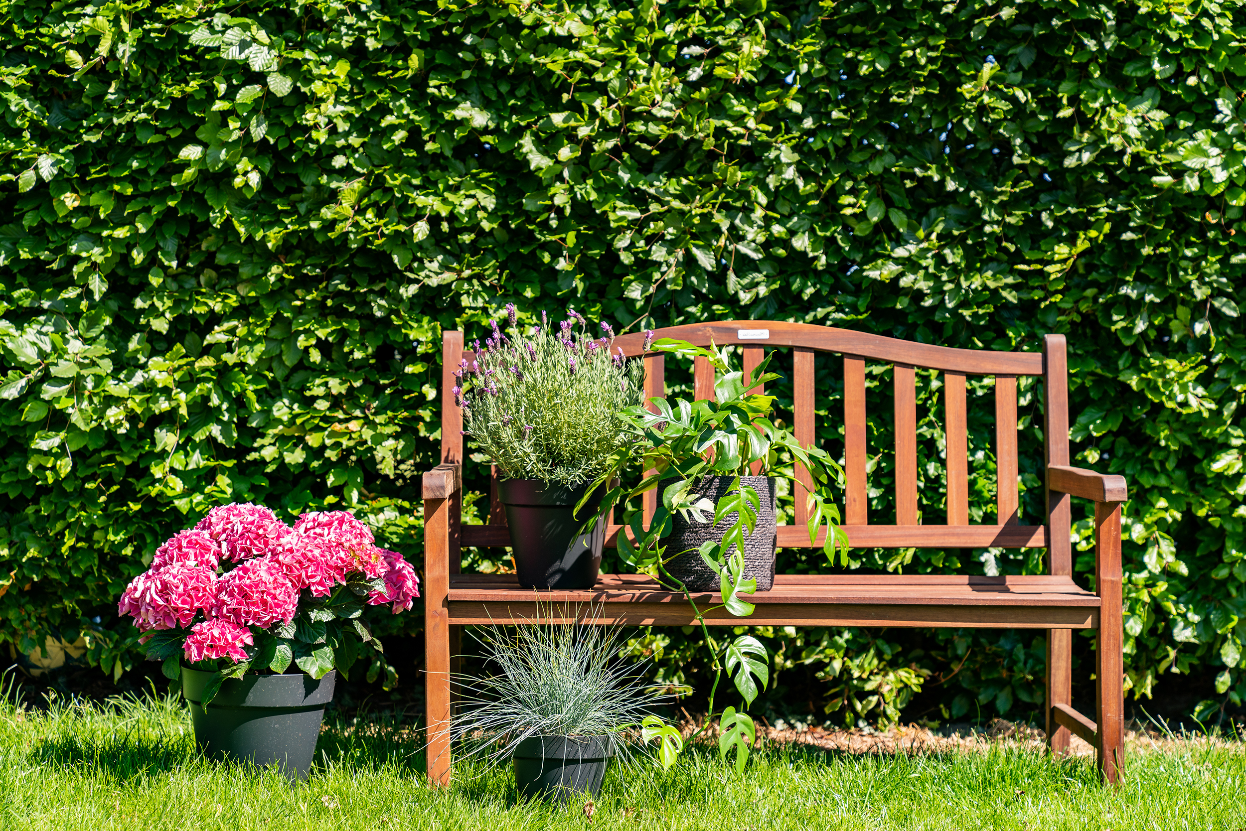 mahoniehouten tuinbank Rainbow met planten in de tuin