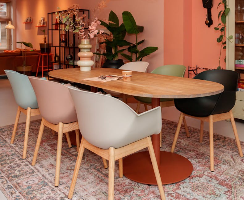 Cuyp dining chair in 6 colours