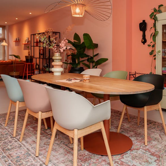 Eetkamerstoel Cuyp in 6 kleuren
