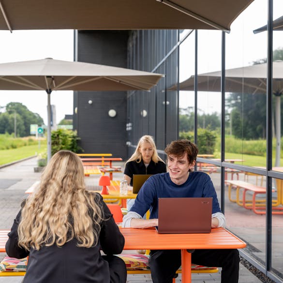 Employees at Fijnder working at Max picnic tables