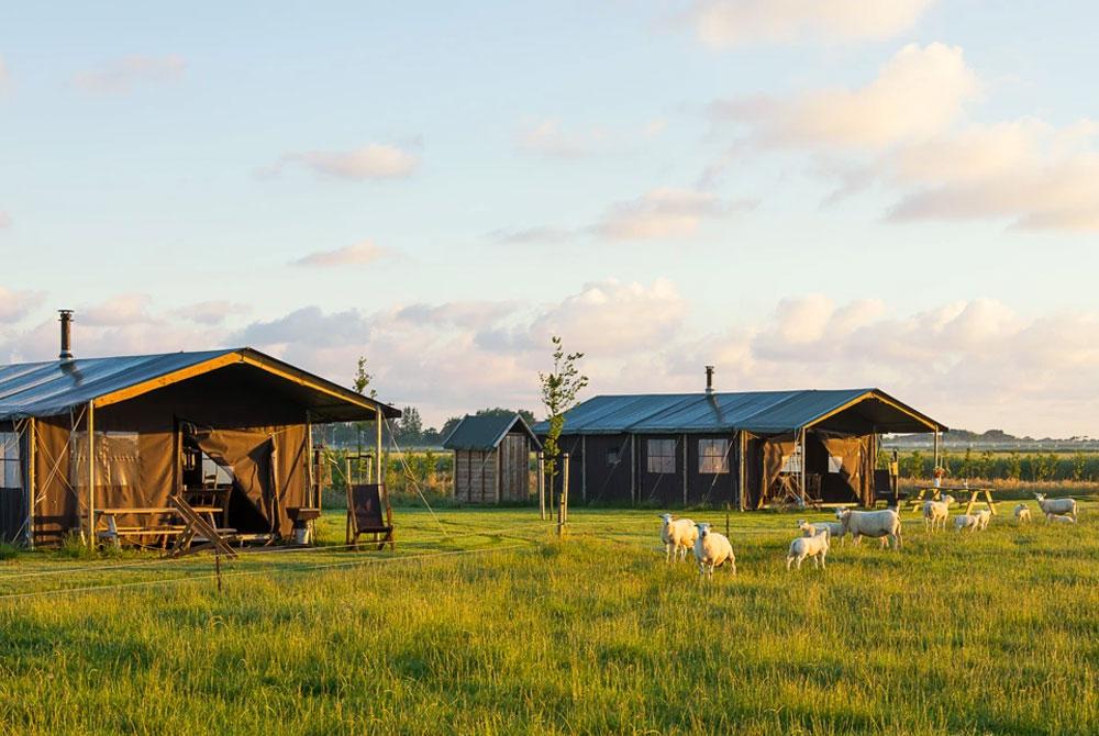 Glamping is het kampeergevoel met de luxe van thuis