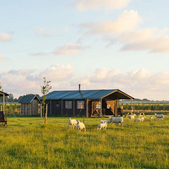 Glamping is het kampeergevoel met de luxe van thuis