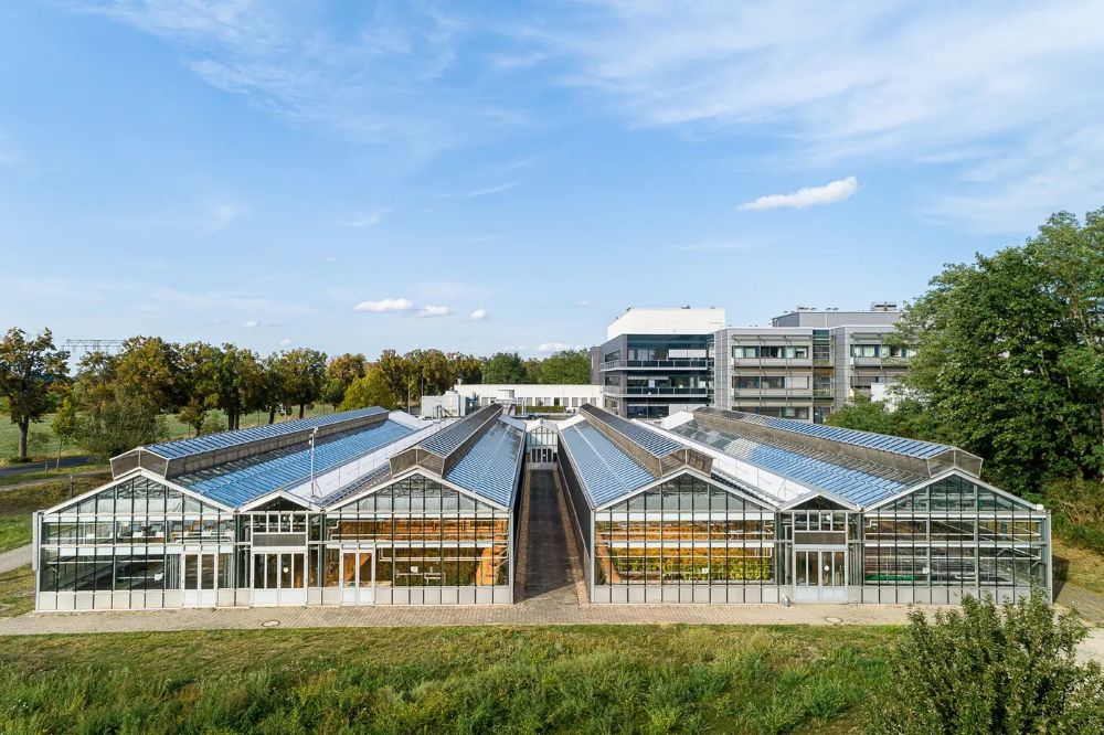 Ansicht des Außenbereichs des Max-Planck-Institut für molekulare Pflanzenphysiologie (MPI-MP) in Potsdam