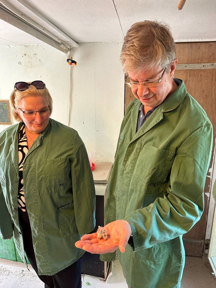 MPF-Mitarbeiterin Tanja Gardumi und Stefan Leitner, Leiter des Tierhauses am MPI für biologische Intelligenz mit einem winzigen Kanarienvogel-Küken..