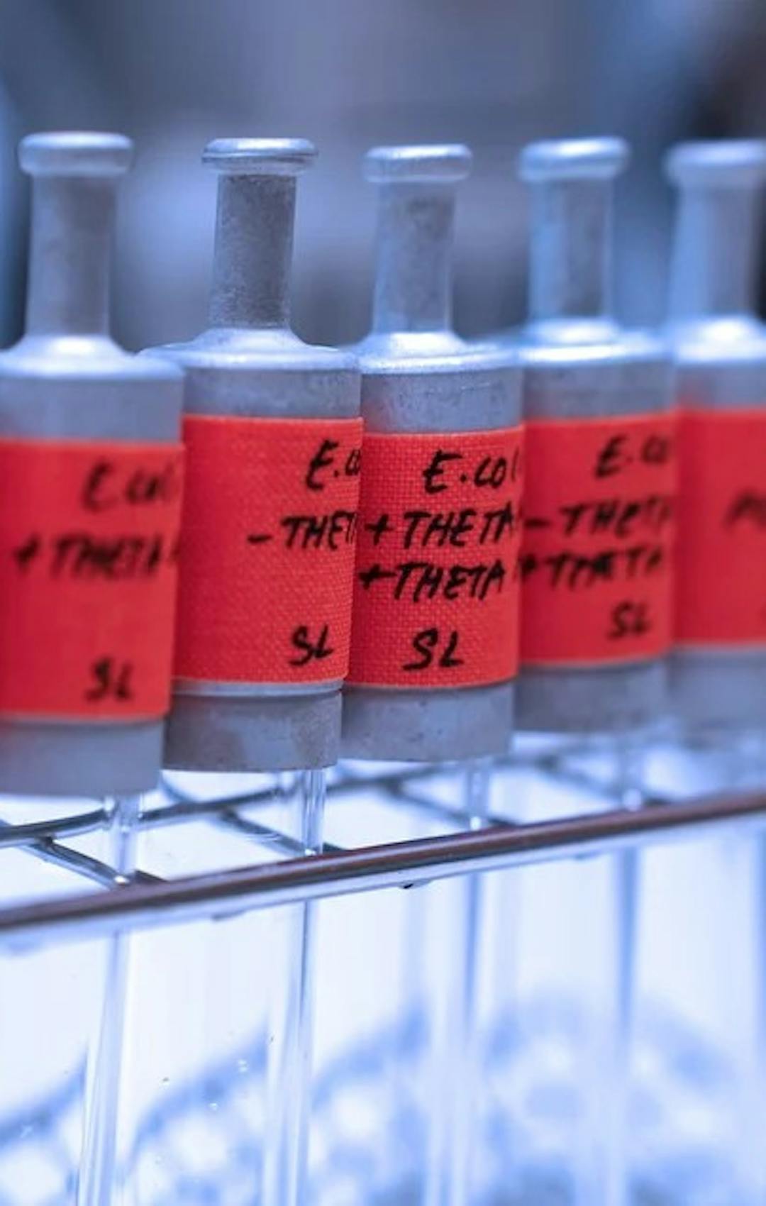 Synthetische CO2 Fixierungswege | ©Max-Planck-Institut für terrestrische Mikrobiologie/Geisell Synthetische CO2 Fixierungswege