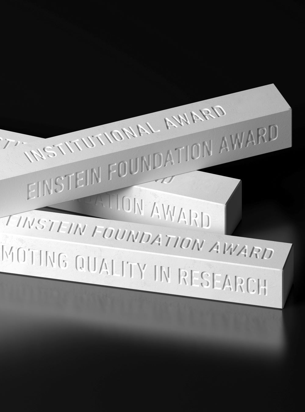 Einstein Foundation Award