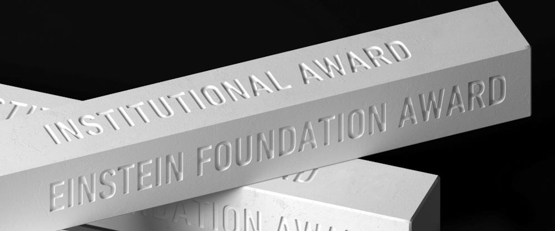 Einstein Foundation Award | ©Einstein Stiftung Berlin Einstein Foundation Award