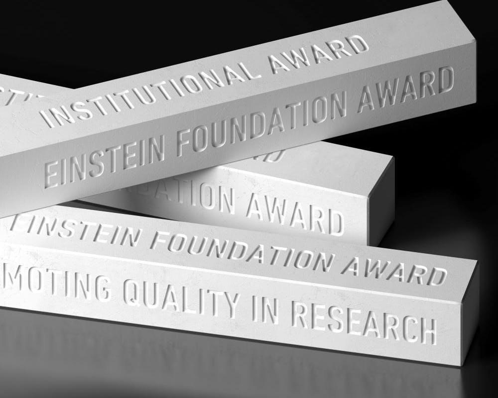 Einstein Foundation Award | ©Einstein Stiftung Berlin Einstein Foundation Award