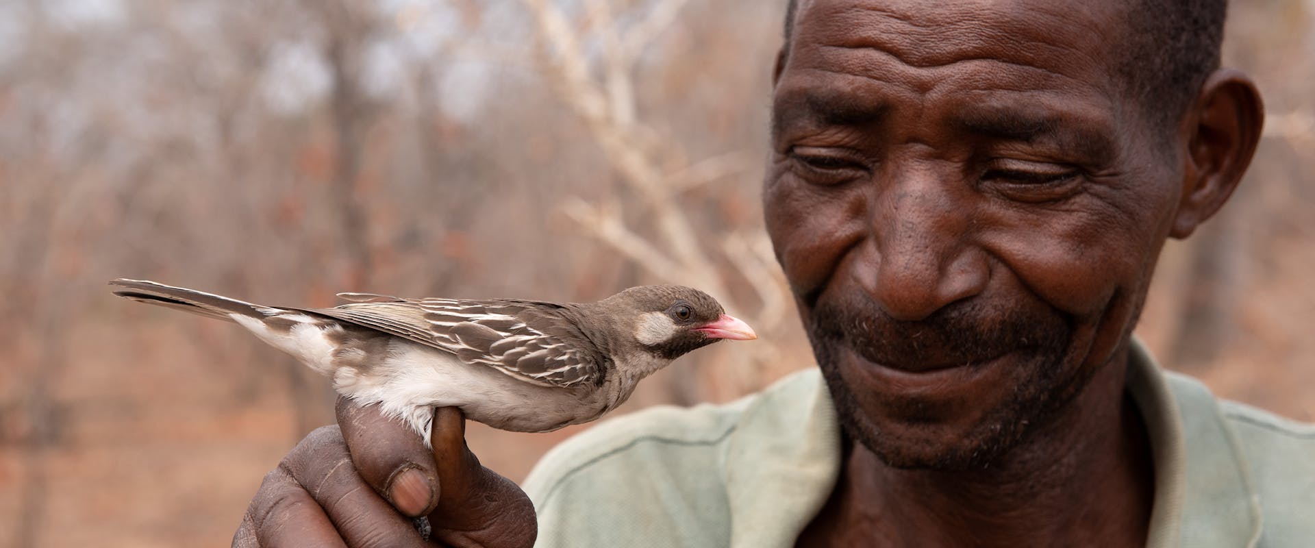 Yao-Honigjäger Seliano Rucunua und männlicher Großer Honiganzeiger | ©FitzPatrick-Institut für afrikanische Ornithologie/Claire Spottiswoode Yao-Honigjäger Seliano Rucunua und männlicher Großer Honiganzeiger