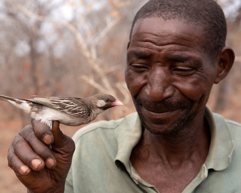 Yao-Honigjäger Seliano Rucunua und männlicher Großer Honiganzeiger | ©FitzPatrick-Institut für afrikanische Ornithologie/Claire Spottiswoode Yao-Honigjäger Seliano Rucunua und männlicher Großer Honiganzeiger
