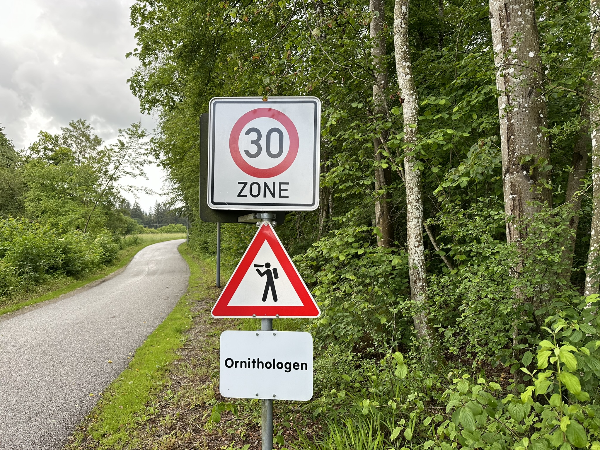 Auf der Zufahrtsstraße des MPI für biologische Intelligenz in Seewiesen werden Besuchende gebeten, Ornithologen zu beobachten.
