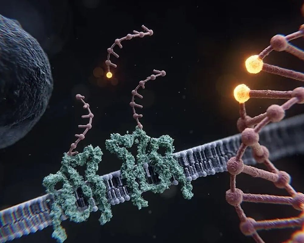 Mit einem revolutionären Technik des Teams vom Prof. Dr. Ralf Jungmann können ganze Zellen, einzelne Proteine oder der Abstand zwischen zwei benachbarten Basen in der DNA in Ångström-Auflösung beobachtet werden. | ©MPI für Biochemie/Max Iglesias Mit einem revolutionären Technik des Teams vom Prof. Dr. Ralf Jungmann können ganze Zellen, einzelne Proteine oder der Abstand zwischen zwei benachbarten Basen in der DNA in Ångström-Auflösung beobachtet werden.