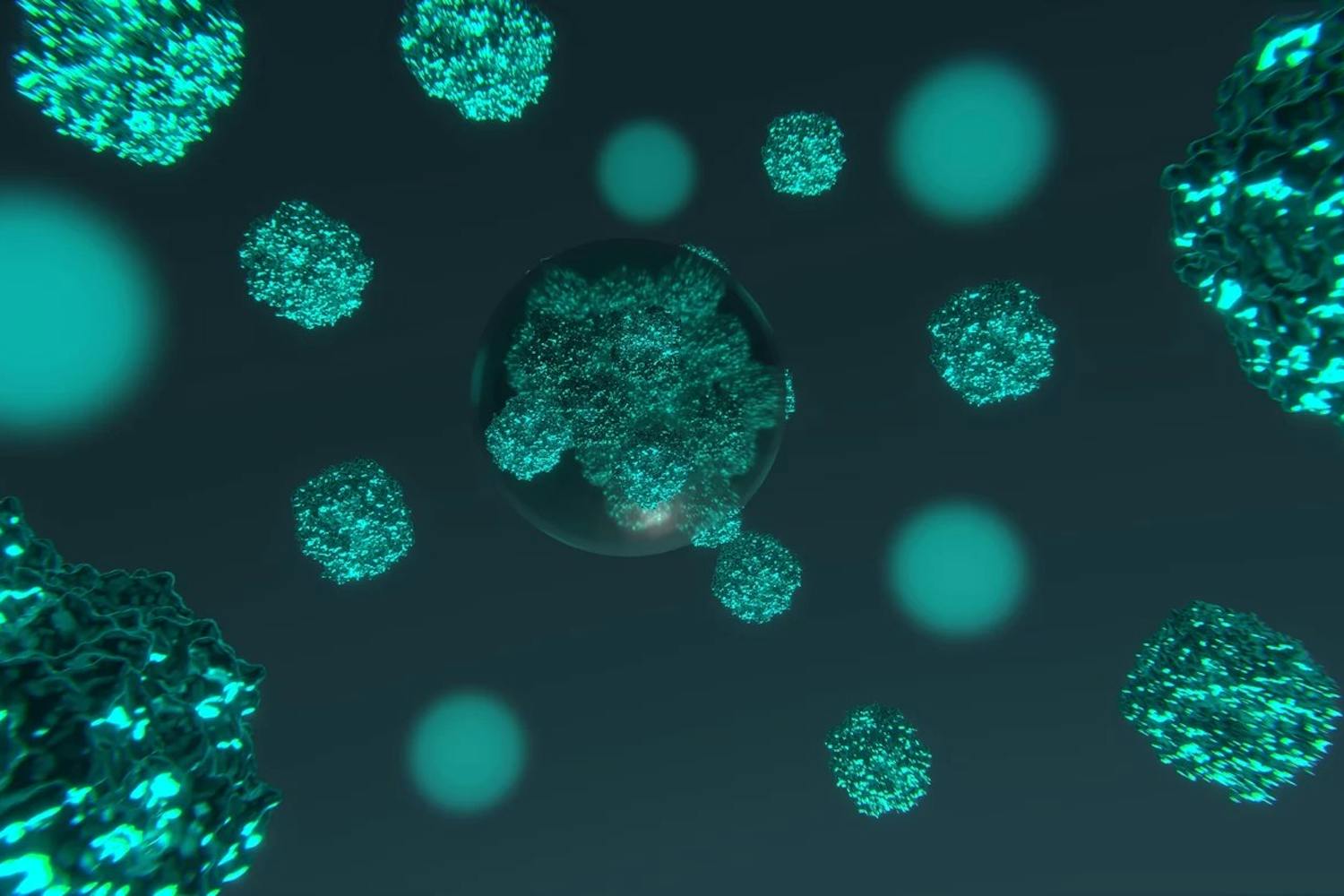 Künstlerische Darstellung des Inneren eines Cyanobakteriums. Hier konzentrieren Kondensate (Kugeln im Bild) Enzyme, die im Rahmen der Photosynthese CO2 fixieren. | ©MPI für terrestrische Mikrobiologie/A. Küffner Künstlerische Darstellung des Inneren eines Cyanobakteriums. Hier konzentrieren Kondensate (Kugeln im Bild) Enzyme, die im Rahmen der Photosynthese CO2 fixieren.