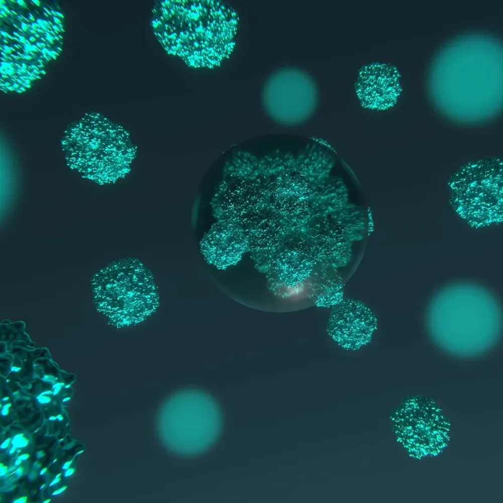 Künstlerische Darstellung der Matrix eines Pyrenoids in grünen Algen. Hier konzentrieren Kondensate (Kugeln im Bild) Enzyme, die im Rahmen der Photosynthese CO2 fixieren. | ©MPI für terrestrische Mikrobiologie/A. Küffner Künstlerische Darstellung der Matrix eines Pyrenoids in grünen Algen. Hier konzentrieren Kondensate (Kugeln im Bild) Enzyme, die im Rahmen der Photosynthese CO2 fixieren.