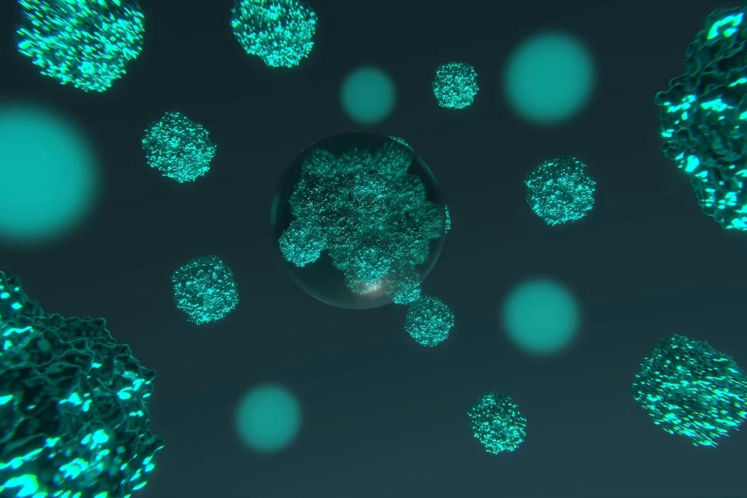Künstlerische Darstellung der Matrix eines Pyrenoids in grünen Algen. Hier konzentrieren Kondensate (Kugeln im Bild) Enzyme, die im Rahmen der Photosynthese CO2 fixieren. | ©MPI für terrestrische Mikrobiologie/A. Küffner Künstlerische Darstellung der Matrix eines Pyrenoids in grünen Algen. Hier konzentrieren Kondensate (Kugeln im Bild) Enzyme, die im Rahmen der Photosynthese CO2 fixieren.
