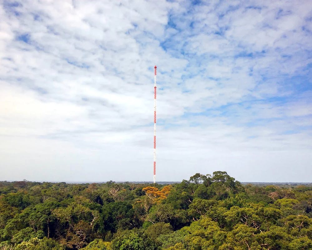 ATTO-Forschungsstation im Amazonas | ©MPI-C/Jorge Saturno ATTO-Forschungsstation in der Amazonas