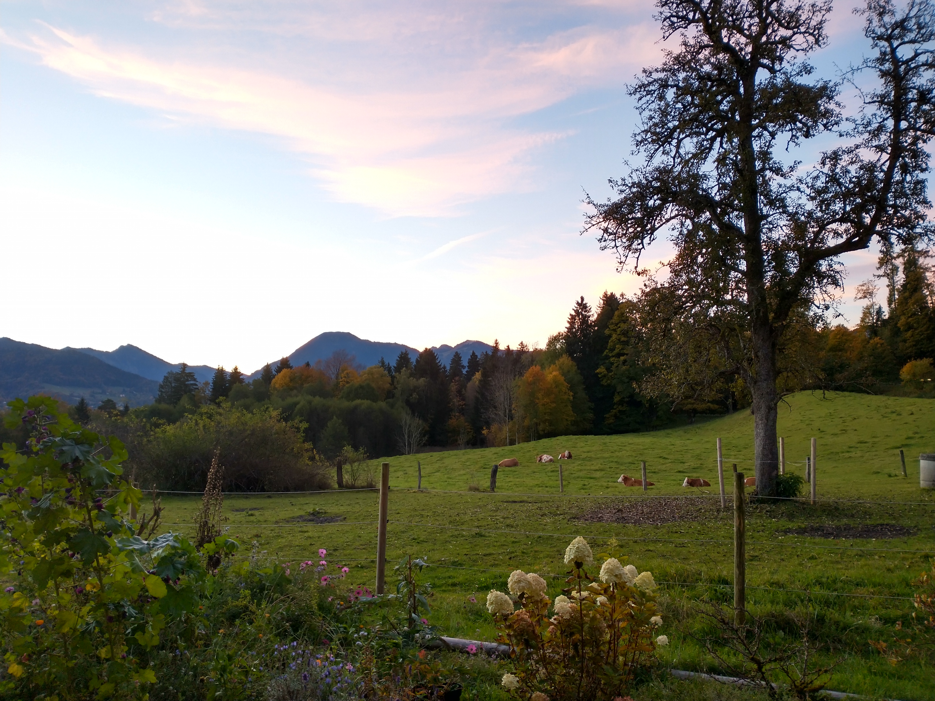 Sonnenaufgang am Grundner