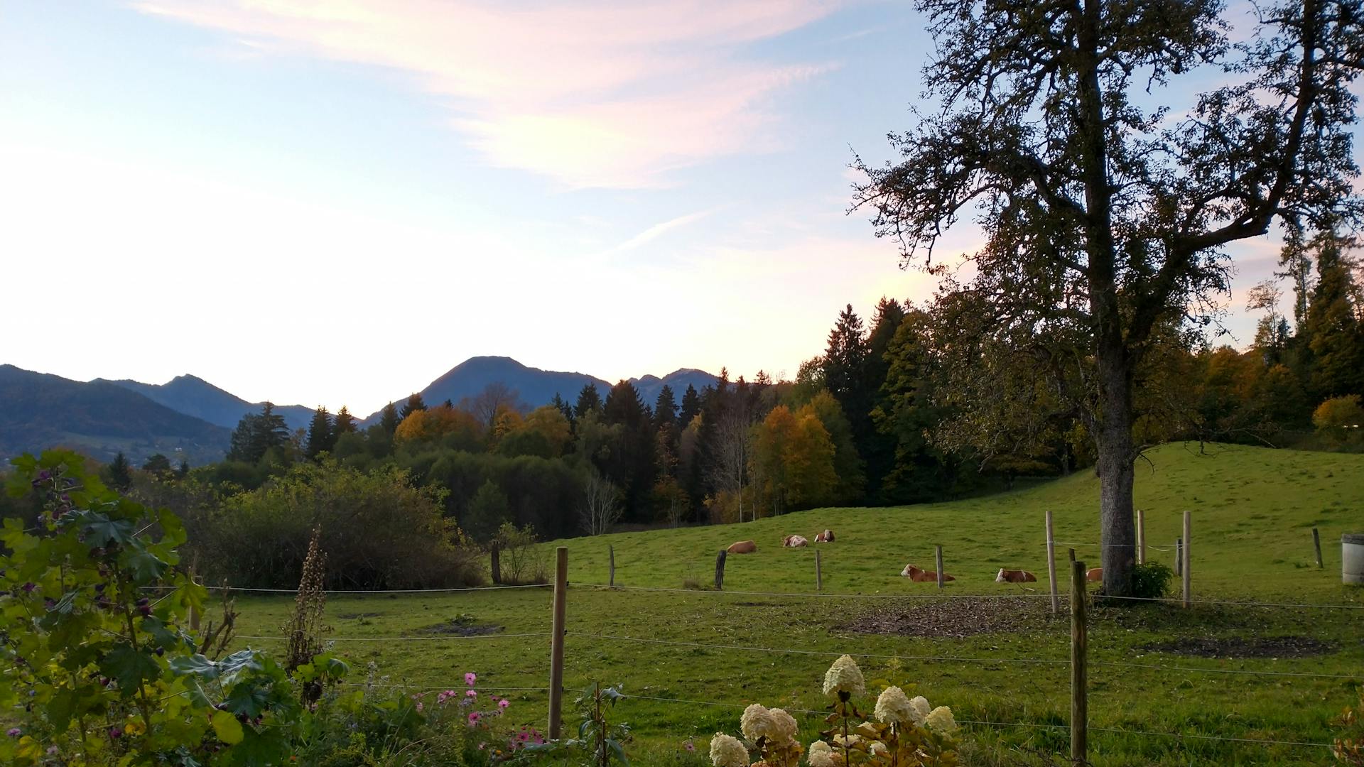 Sonnenaufgang am Grundner | ©MPF Sonnenaufgang am Grundner
