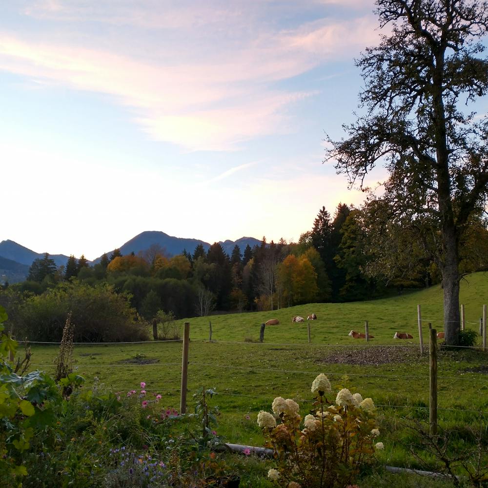 Sonnenaufgang am Grundner | ©MPF Sonnenaufgang am Grundner