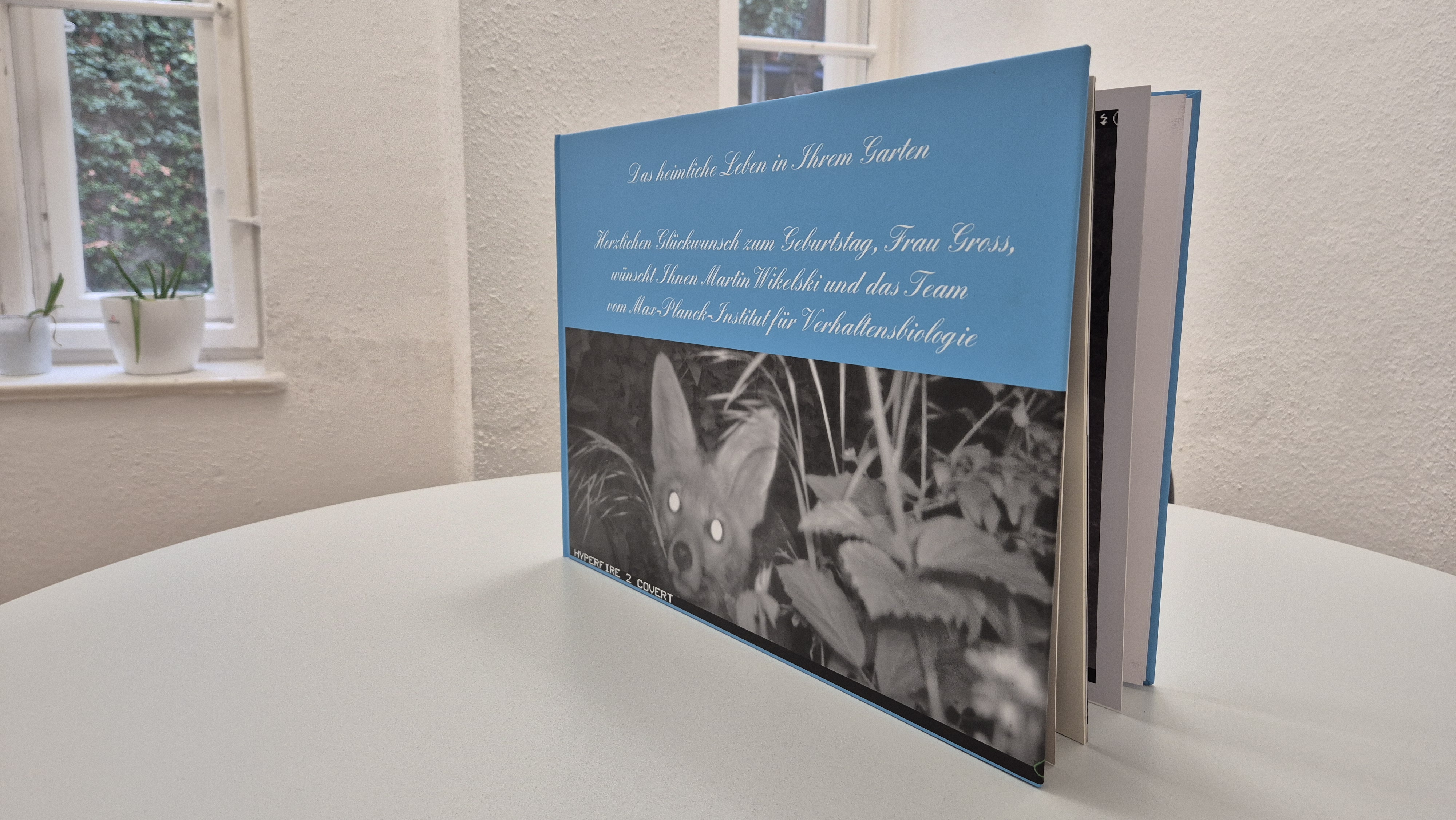 Nächtliche Tierwelt – eingefangen im Verborgenen. Ein liebevolles Geschenk.