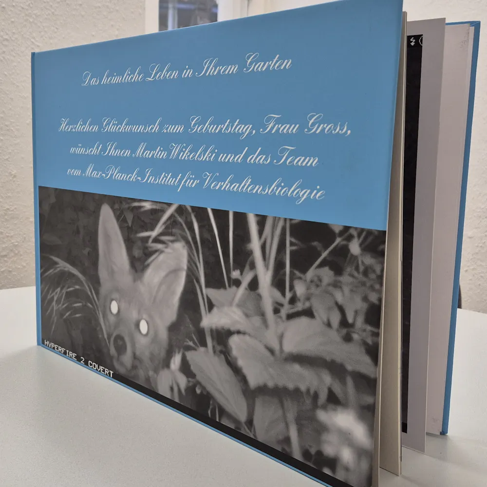 Nächtliche Tierwelt – eingefangen im Verborgenen. Ein liebevolles Geschenk. | ©MPF Nächtliche Tierwelt – eingefangen im Verborgenen. Ein liebevolles Geschenk.