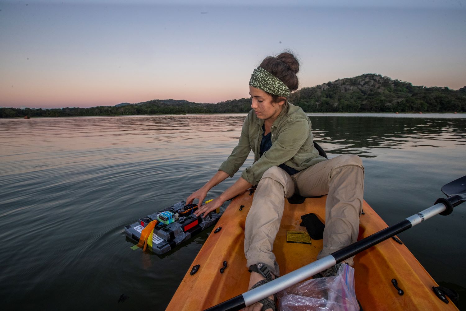 Am Ufer des Gatúnsees in Panama richtet Jenna Kohles, Postdoc am MPI für Verhaltensbiologie, eine Tonaufnahme ein.
