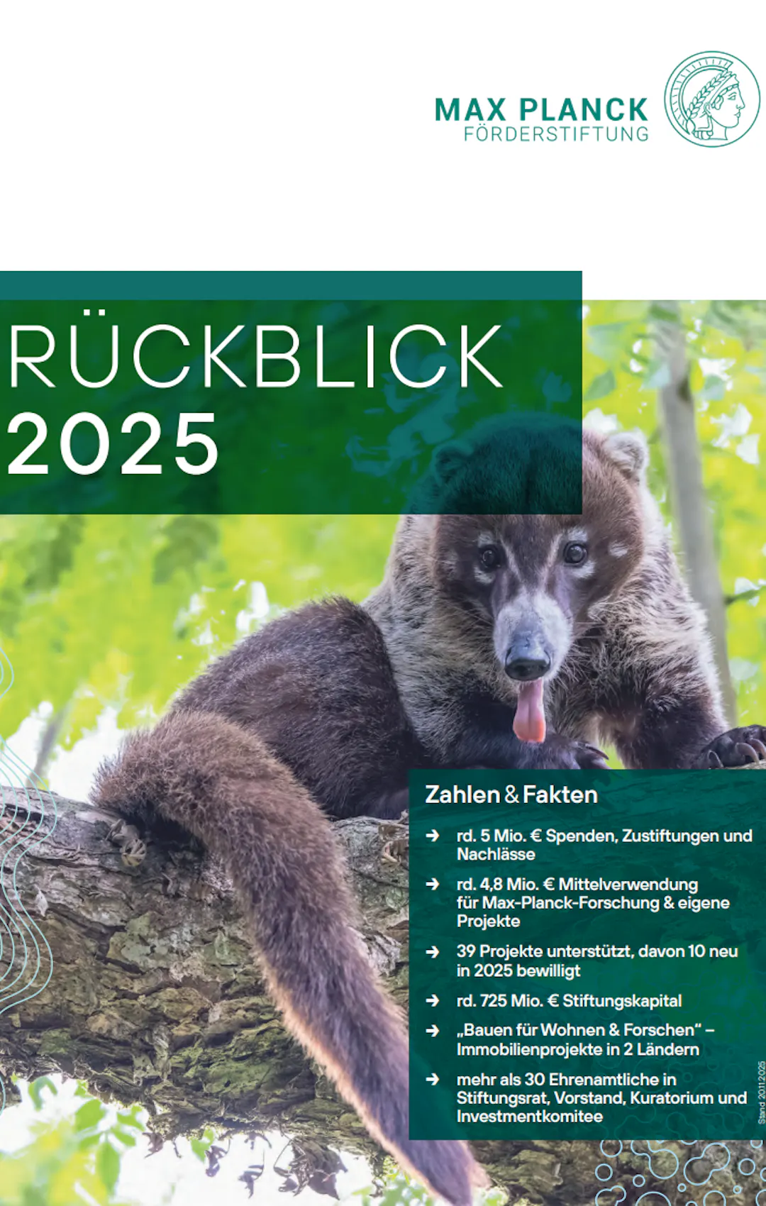 Titelseite des Rückblicks 2025 der Stiftung MPF – Wilder Weißstamm-Nasenbär in Panama. | ©MPI für Verhaltensbiologie/Christian Ziegler Titelseite des Rückblicks 2025 der Stiftung MPF – Wilder Weißstamm-Nasenbär in Panama.