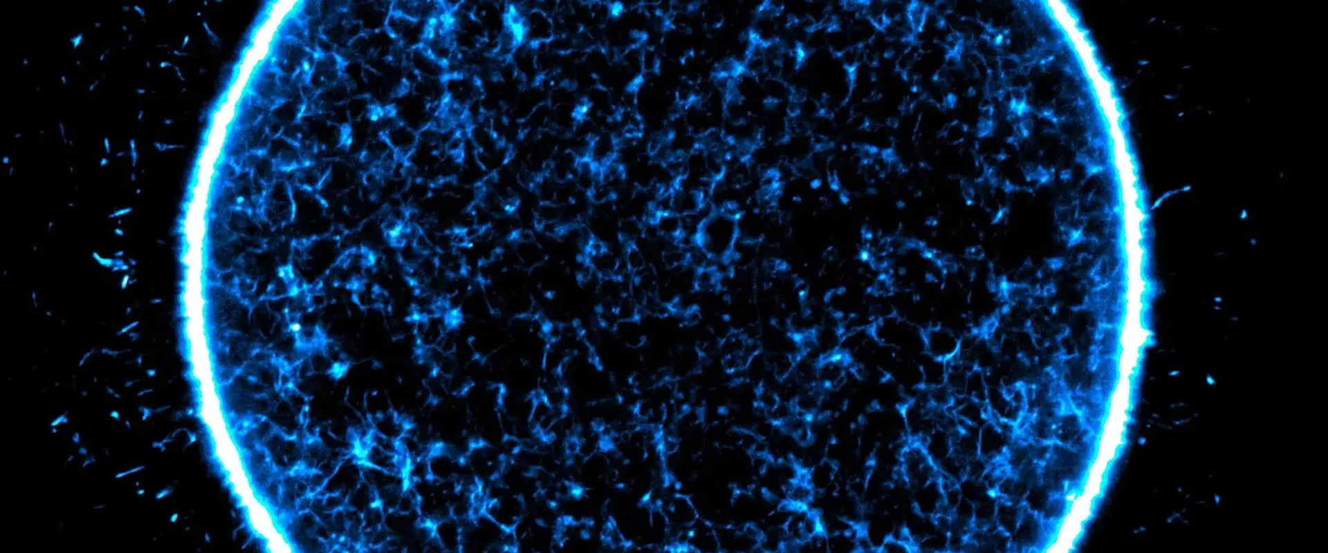 Eine menschliche Eizelle bereitet sich auf die Teilung ihrer DNA vor. | ©MPI für Multidisziplinäre Naturwissenschaften / ©Agata Zielinska Eine menschliche Eizelle bereitet sich auf die Teilung ihrer DNA vor.