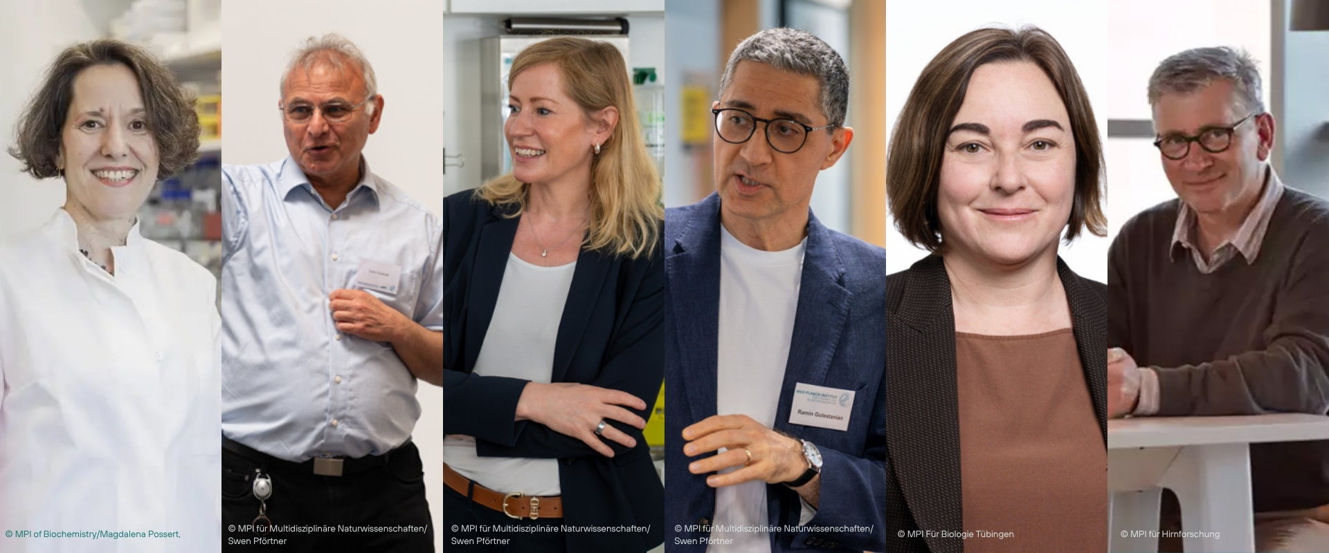 V.l.n.r.: Brenda Schulmann, Sami Solanki, Melina Schuh, Ramin Golestanian, Ruth Ley, Gilles Laurent