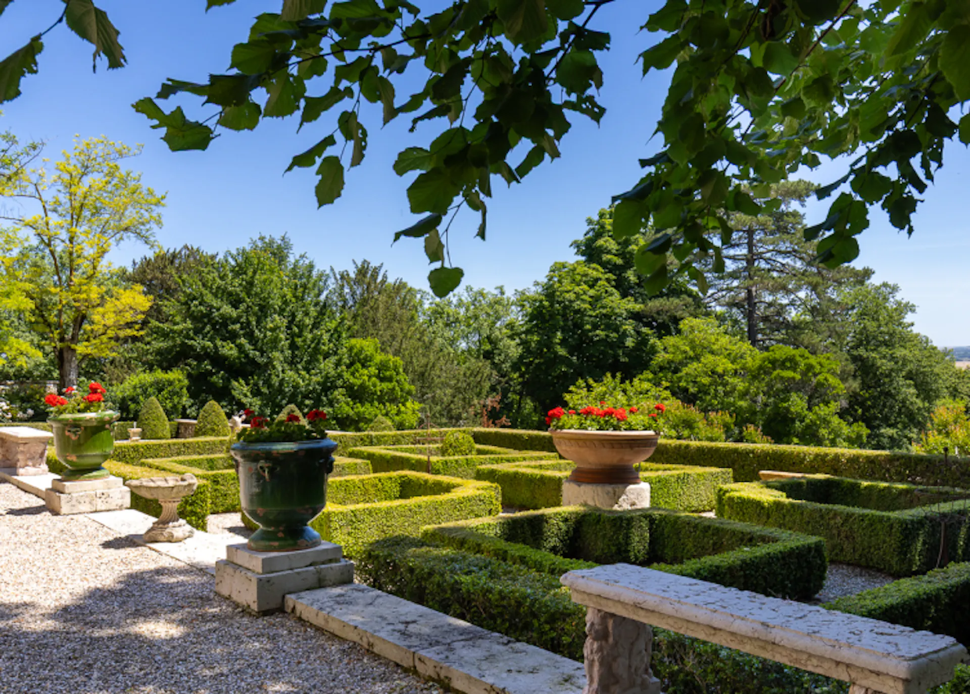 Photo d'un jardin.