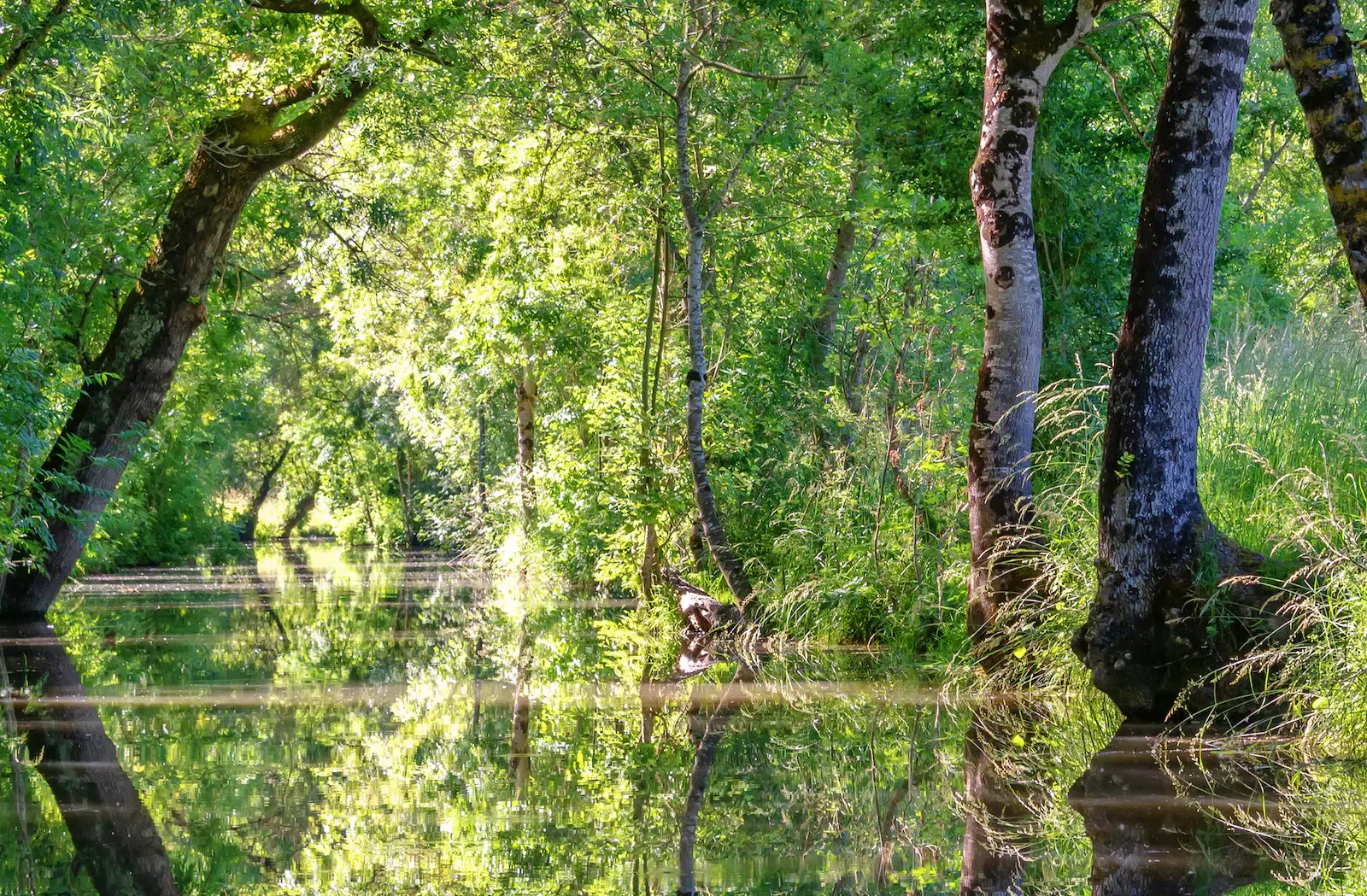 Photo Deux-Sevres
