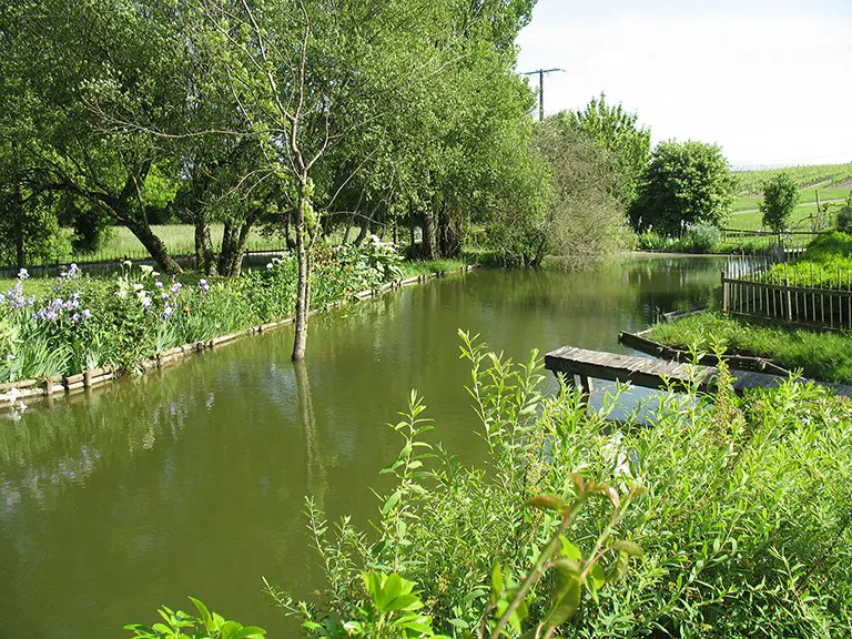 Cognac and its secret gardens