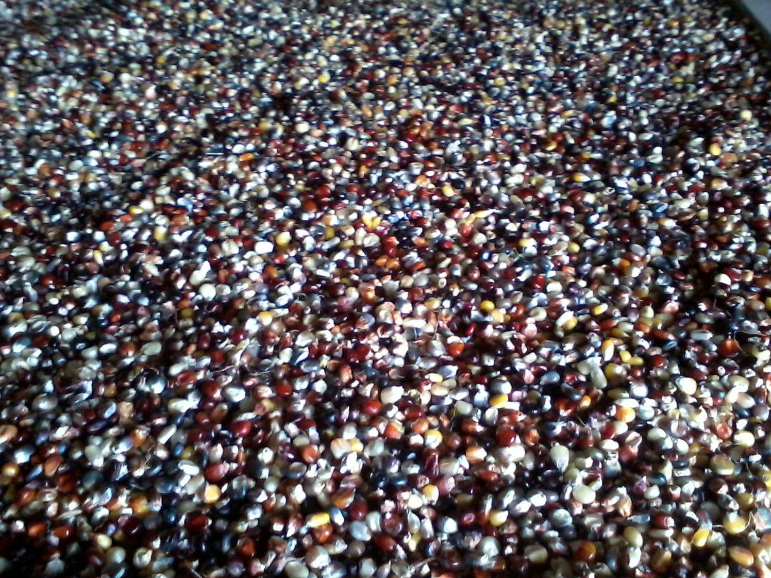 Seeds en masse